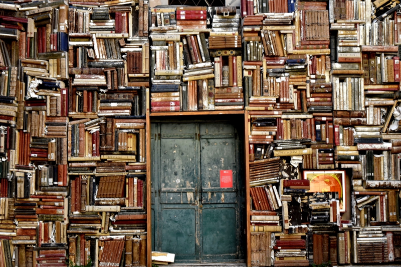 librairie-GRASSE-min_books-1655783